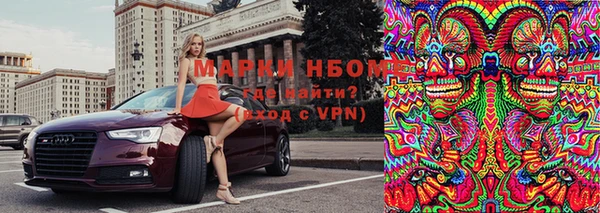 мяу мяу мука Баксан