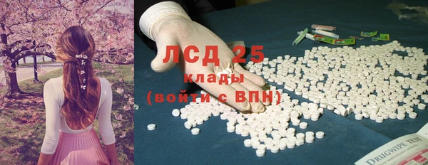 мяу мяу мука Баксан